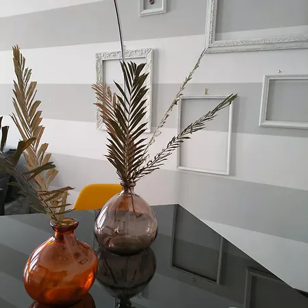 Apartment Elegant Smart With Free Parking