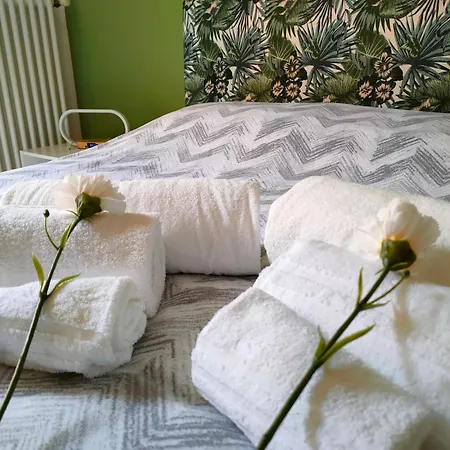 Elegant Smart Apartamento